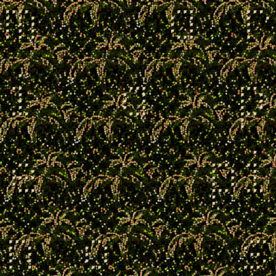 mariapepinos - Musaceae